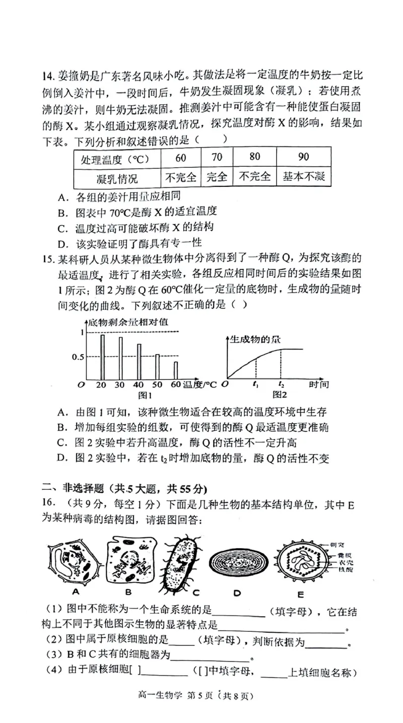 安徽省庐巢联盟2024-2025学年高一上学期第二次月考试题生物PDF版含答案_2024-2025高一（7-7月题库）_2025年01月试卷_0109安徽省庐巢联盟2024-2025学年高一上学期第二次月考试题