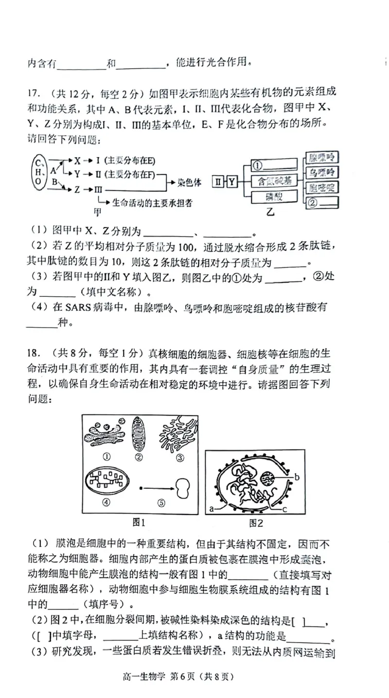 安徽省庐巢联盟2024-2025学年高一上学期第二次月考试题生物PDF版含答案_2024-2025高一（7-7月题库）_2025年01月试卷_0109安徽省庐巢联盟2024-2025学年高一上学期第二次月考试题