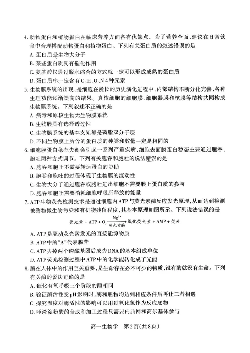 山西省吕梁市2024-2025学年高一上学期期末调研测试生物学试题（PDF版，无答案）_2024-2025高一（7-7月题库）_2025年03月试卷_0307山西省吕梁市2024-2025学年高一上学期1月期末考试