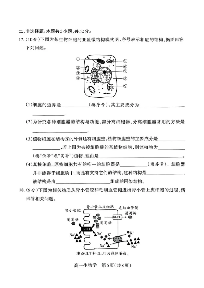 山西省吕梁市2024-2025学年高一上学期期末调研测试生物学试题（PDF版，无答案）_2024-2025高一（7-7月题库）_2025年03月试卷_0307山西省吕梁市2024-2025学年高一上学期1月期末考试