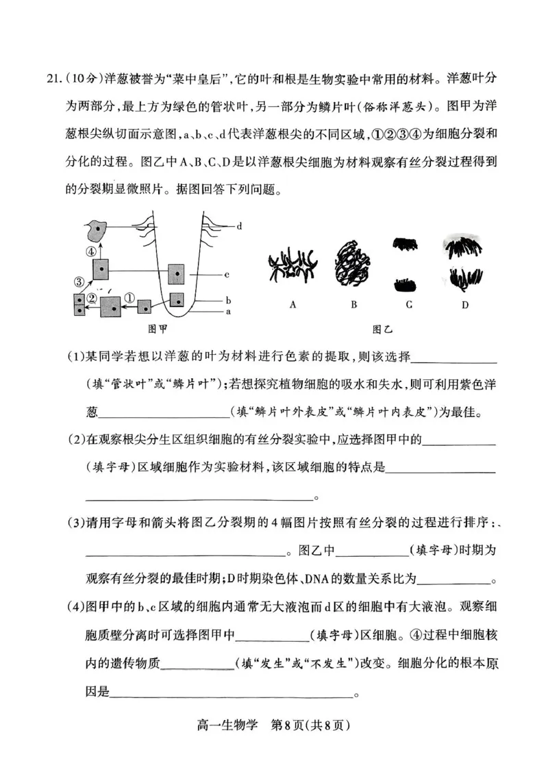 山西省吕梁市2024-2025学年高一上学期期末调研测试生物学试题（PDF版，无答案）_2024-2025高一（7-7月题库）_2025年03月试卷_0307山西省吕梁市2024-2025学年高一上学期1月期末考试