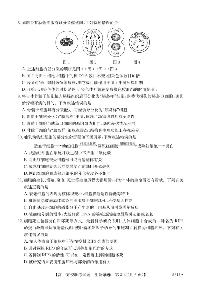 广东省惠州仲恺中学等五校2024-2025学年高一下学期4月联考生物试卷（扫描版有答案）_2024-2025高一（7-7月题库）_2025年04月试卷
