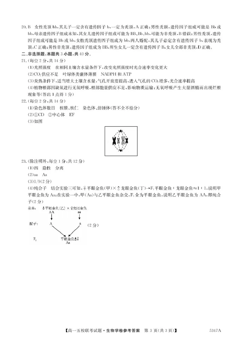 广东省惠州仲恺中学等五校2024-2025学年高一下学期4月联考生物试卷（扫描版有答案）_2024-2025高一（7-7月题库）_2025年04月试卷