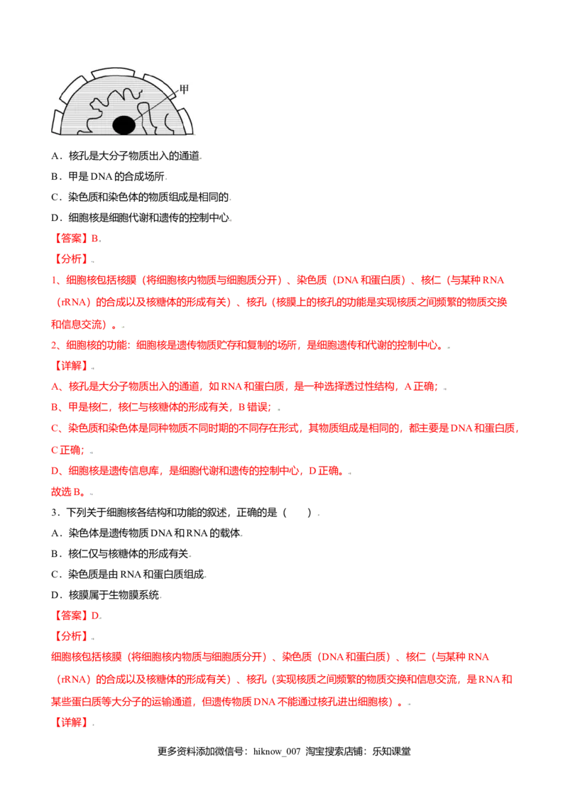 3.3细胞核的结构和功能-高一生物课后培优练（人教版2019必修1）（解析版）_E015高中全科试卷_生物试题_必修1_2.同步练习_3.同步练习（第三套）