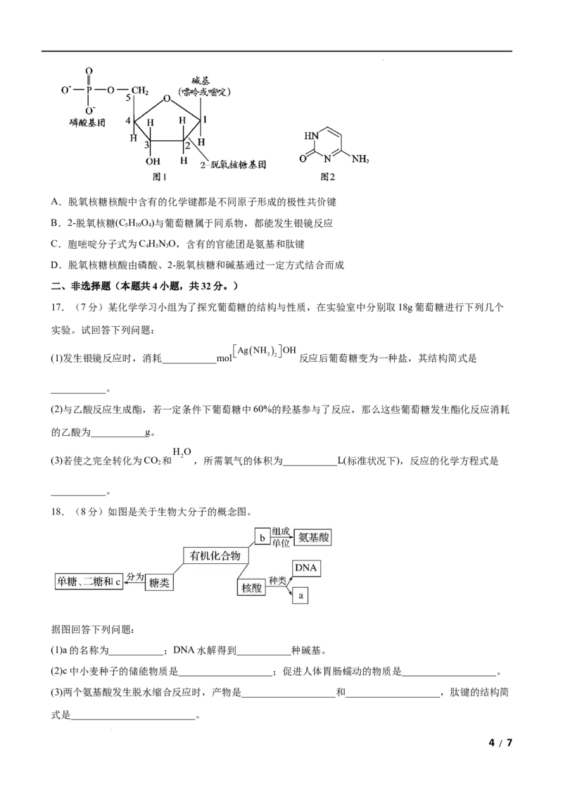 第04单元生物大分子（A卷&bull;夯实基础）-2021-2022学年高二化学同步单元AB卷（人教版2019选择性必修3）（原卷版）_E015高中全科试卷_化学试题_选修3_5.新版人教版高中化学试卷选择性必修3