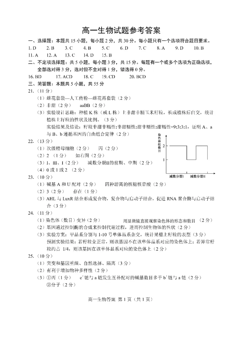 5.2024.07高一生物期末答案_2024-2025高一（7-7月题库）_2024年8月试卷_0806山东省菏泽市2023-2024学年高一下学期7月期末