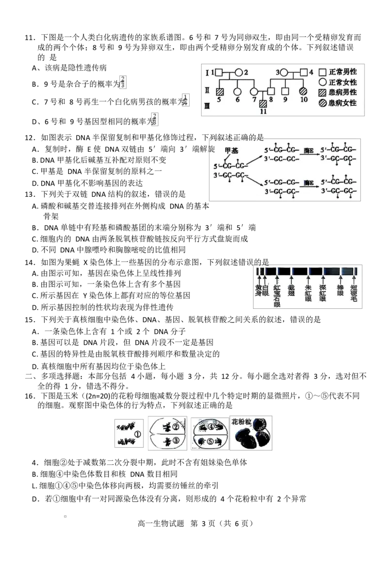 江苏省徐州市2024-2025学年高一下学期期中考试生物试题Word版含答案_2024-2025高一（7-7月题库）_2025年05月试卷_0530江苏省徐州市2024-2025学年高一下学期期中考试