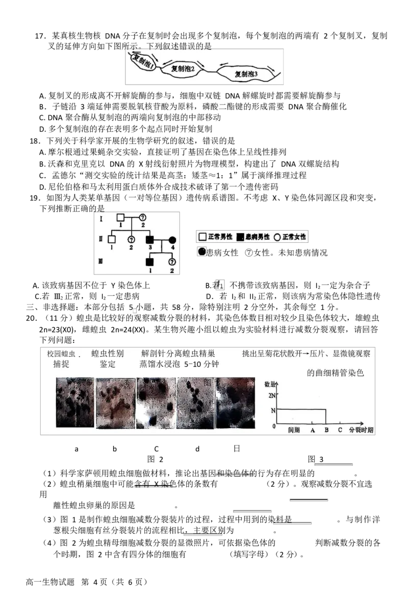 江苏省徐州市2024-2025学年高一下学期期中考试生物试题Word版含答案_2024-2025高一（7-7月题库）_2025年05月试卷_0530江苏省徐州市2024-2025学年高一下学期期中考试
