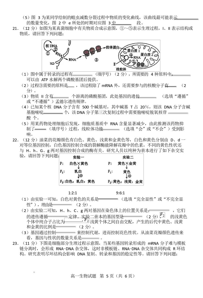 江苏省徐州市2024-2025学年高一下学期期中考试生物试题Word版含答案_2024-2025高一（7-7月题库）_2025年05月试卷_0530江苏省徐州市2024-2025学年高一下学期期中考试