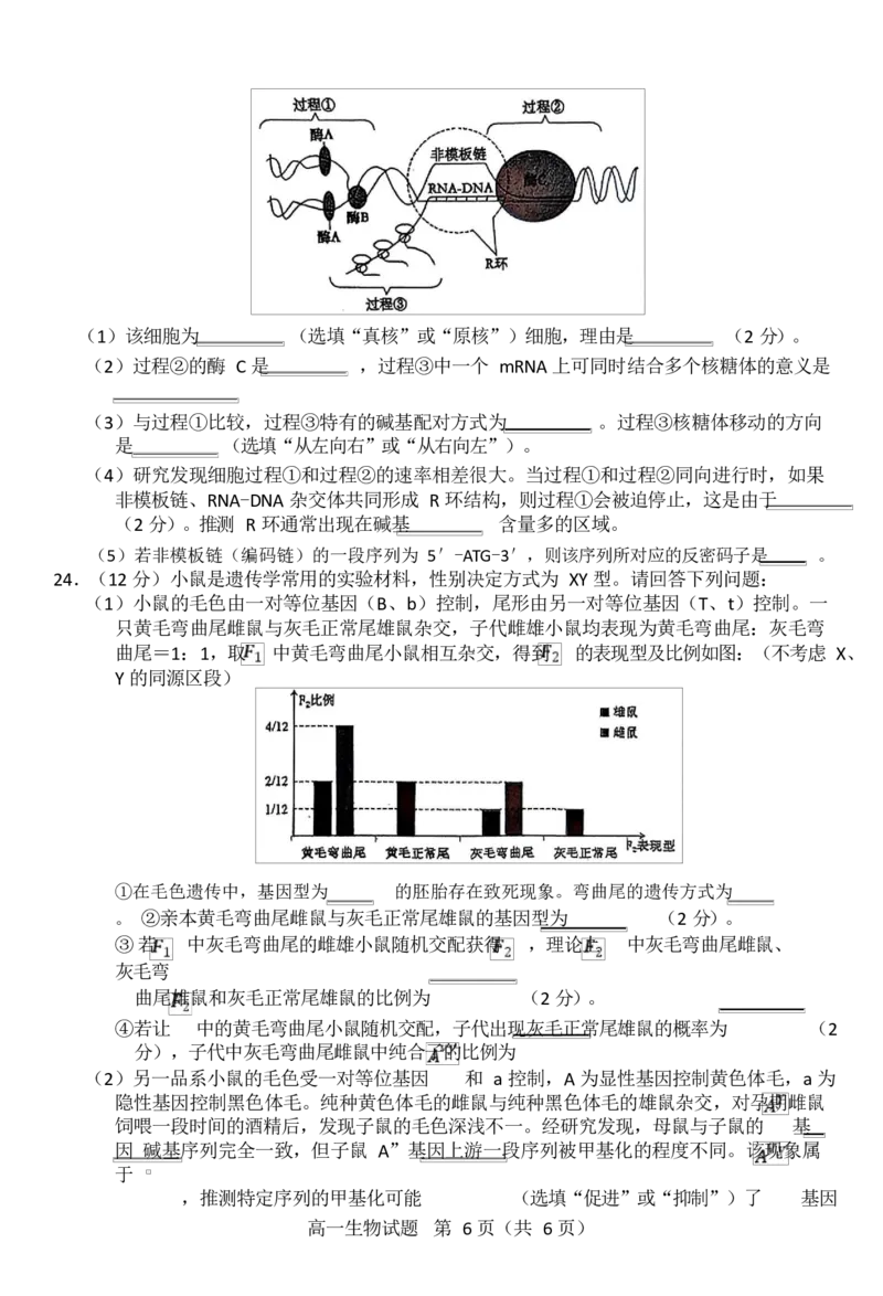 江苏省徐州市2024-2025学年高一下学期期中考试生物试题Word版含答案_2024-2025高一（7-7月题库）_2025年05月试卷_0530江苏省徐州市2024-2025学年高一下学期期中考试