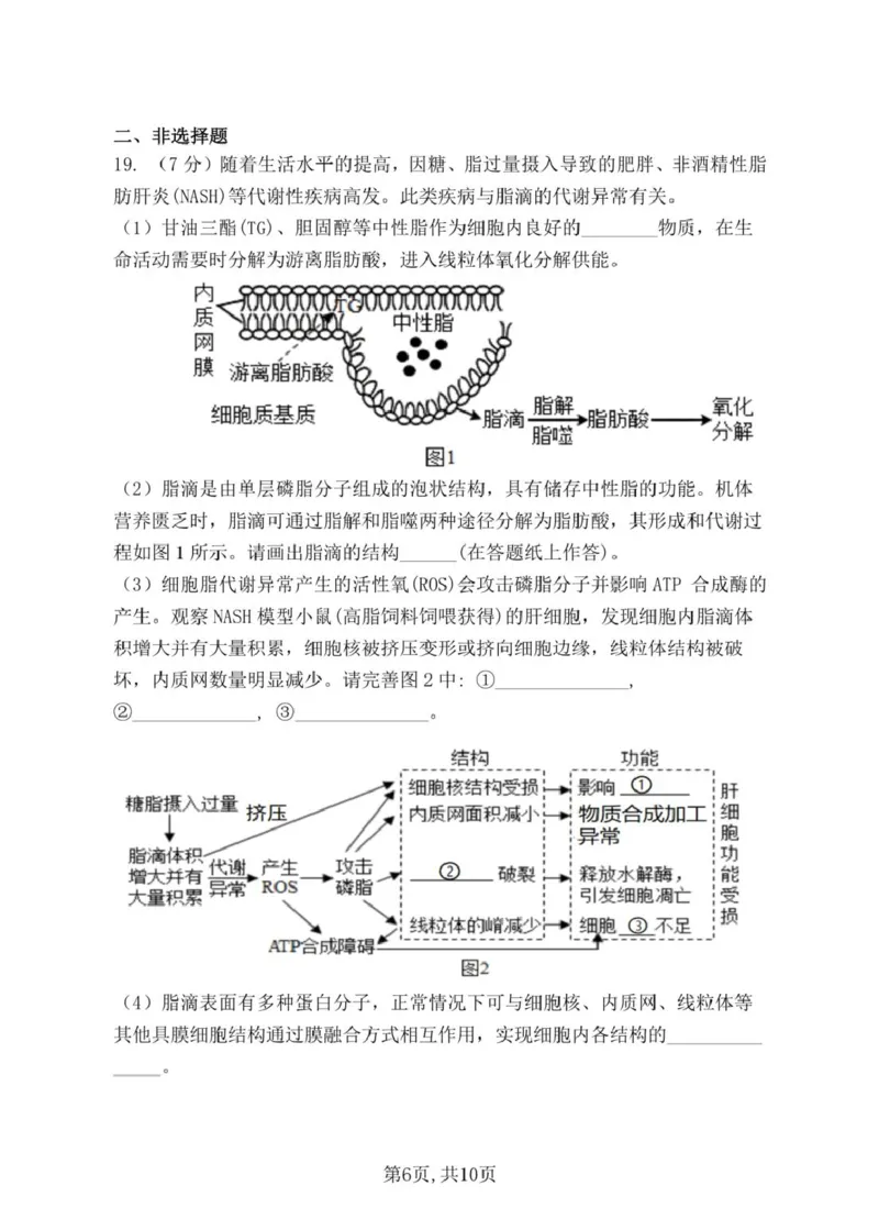 安徽省蚌埠市A层高中2024-2025学年搞一下学期第四次联考生物试卷（扫描版有解析）_2024-2025高一（7-7月题库）_2025年03月试卷_0321安徽省蚌埠市A层高中2024-2025学年高一下学期第四次联考
