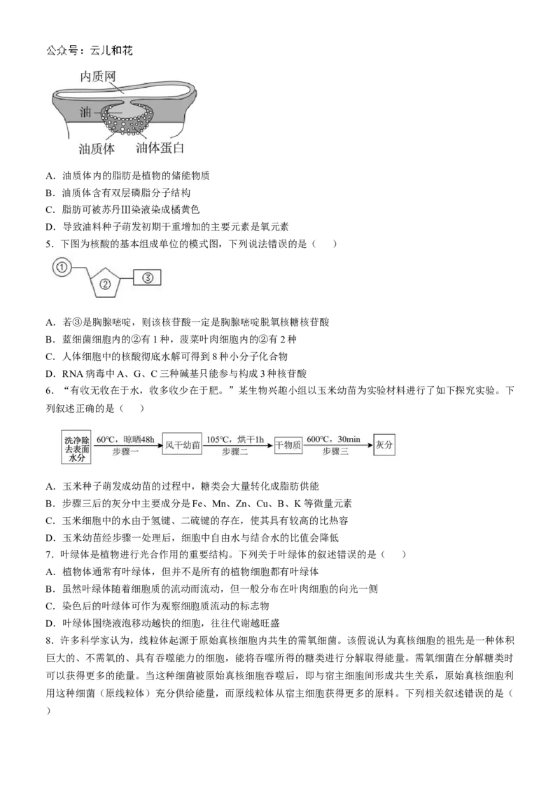 安徽省蚌埠市怀远县2024-2025学年高一上学期期中考试生物Word版含答案_2024-2025高一（7-7月题库）_2024年12月试卷_1204安徽省蚌埠市怀远县2024-2025学年高一上学期期中考试