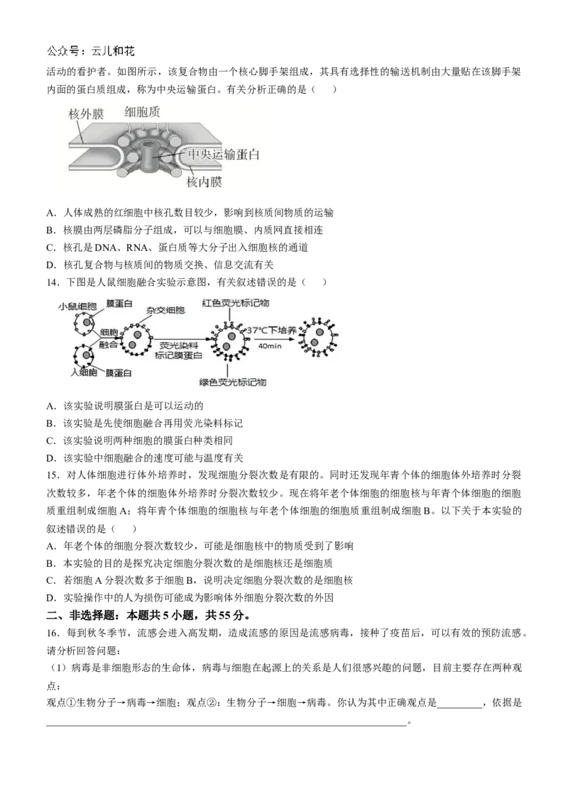 安徽省蚌埠市怀远县2024-2025学年高一上学期期中考试生物Word版含答案_2024-2025高一（7-7月题库）_2024年12月试卷_1204安徽省蚌埠市怀远县2024-2025学年高一上学期期中考试
