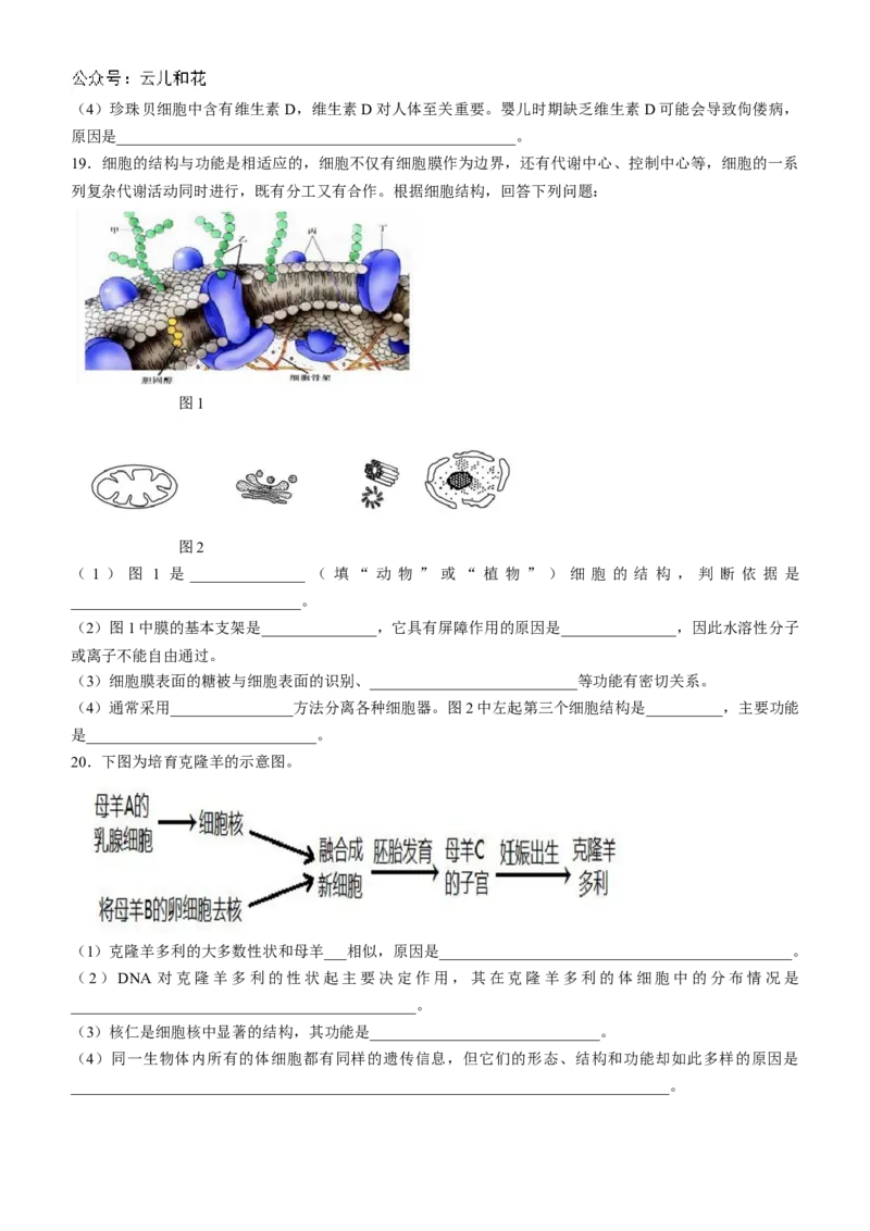安徽省蚌埠市怀远县2024-2025学年高一上学期期中考试生物Word版含答案_2024-2025高一（7-7月题库）_2024年12月试卷_1204安徽省蚌埠市怀远县2024-2025学年高一上学期期中考试