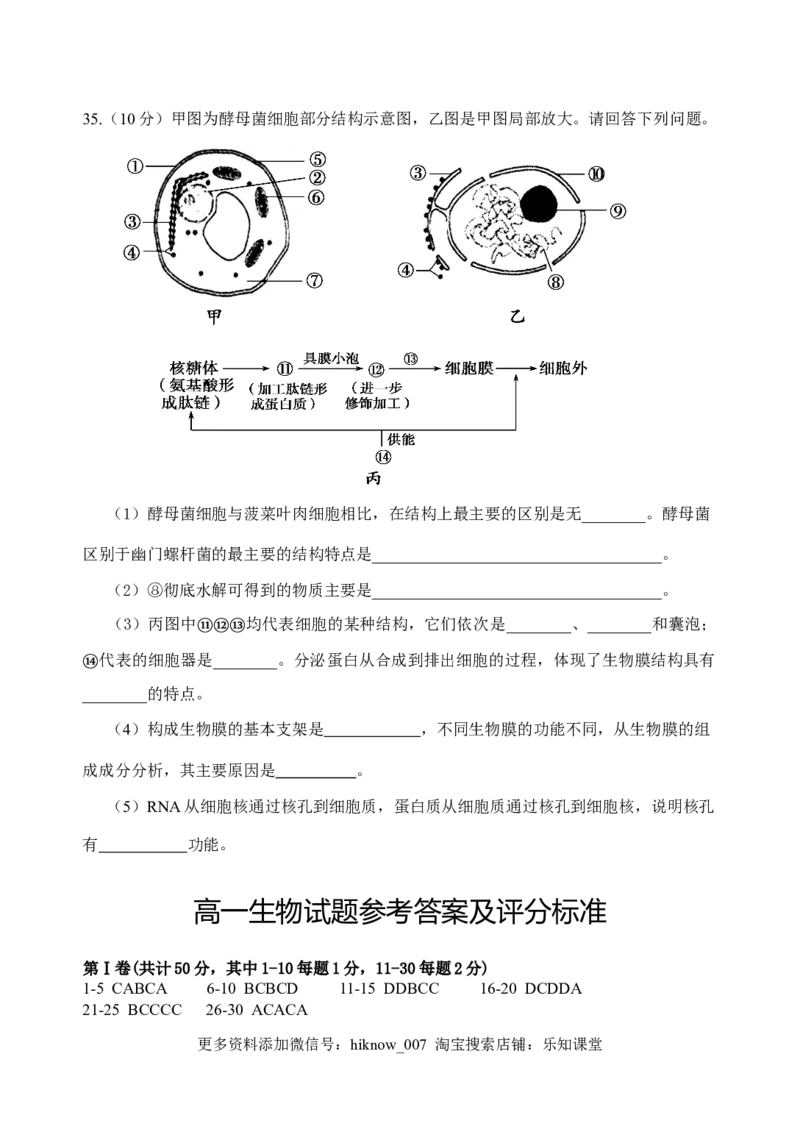 山东泰安肥城市高一上学期期中考试生物试题_E015高中全科试卷_生物试题_必修1_3.期中测试
