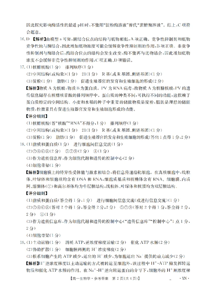 云南省2028届高一上学期12月联考（26-002A）生物答案_2024-2025高一（7-7月题库）_2026年1月高一_260107金太阳&middot;云南省2028届高一上学期12月联考（26-002A）（全）