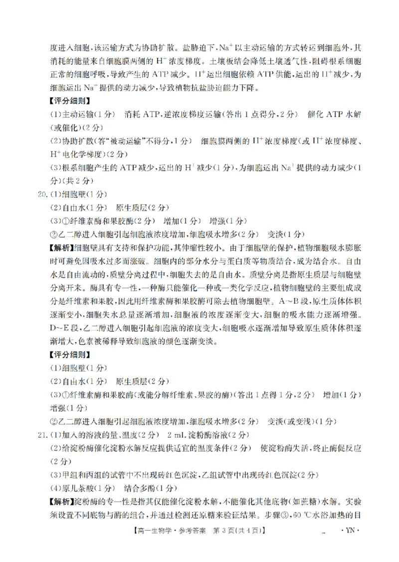 云南省2028届高一上学期12月联考（26-002A）生物答案_2024-2025高一（7-7月题库）_2026年1月高一_260107金太阳&middot;云南省2028届高一上学期12月联考（26-002A）（全）