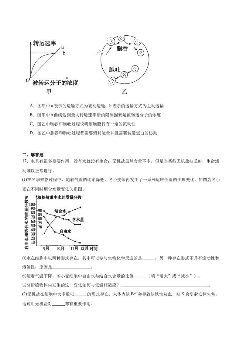 广东省湛江市雷州市第二中学2025-2026学年高一上学期12月第三次月考生物试卷（含答案）_2024-2025高一（7-7月题库）_2026年1月高一