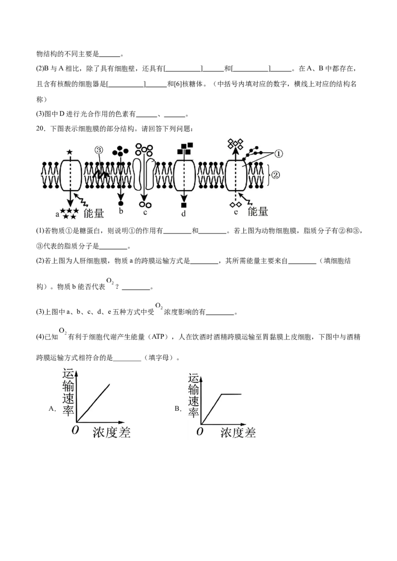 广东省湛江市雷州市第二中学2025-2026学年高一上学期12月第三次月考生物试卷（含答案）_2024-2025高一（7-7月题库）_2026年1月高一