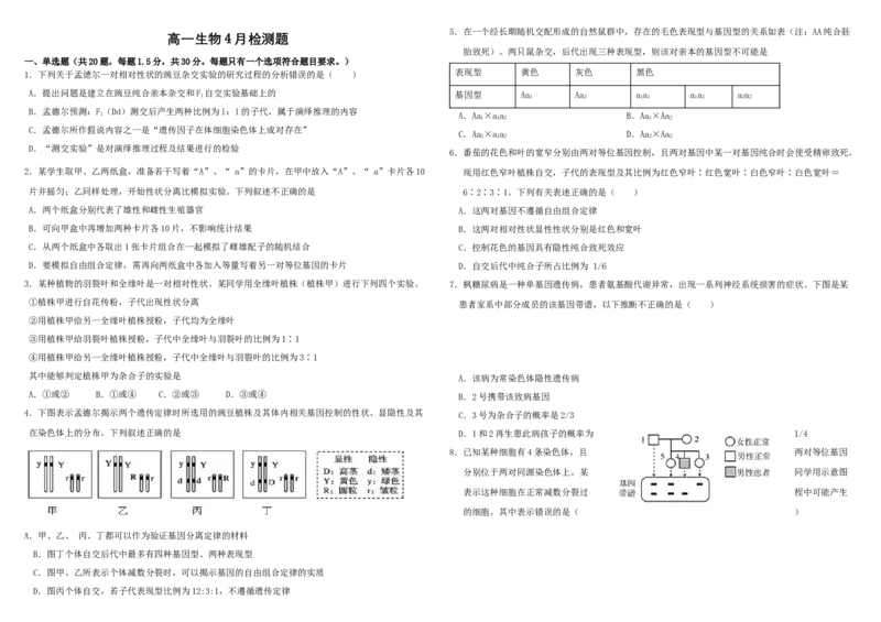 山东省威海市乳山市银滩高级中学2024-2025学年高一下学期4月月考生物试题（有答案）_2024-2025高一（7-7月题库）_2025年05月试卷