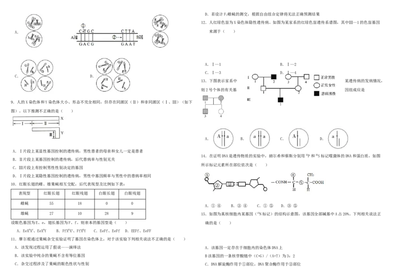 山东省威海市乳山市银滩高级中学2024-2025学年高一下学期4月月考生物试题（有答案）_2024-2025高一（7-7月题库）_2025年05月试卷