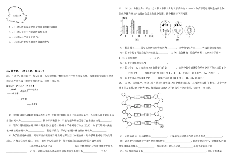 山东省威海市乳山市银滩高级中学2024-2025学年高一下学期4月月考生物试题（有答案）_2024-2025高一（7-7月题库）_2025年05月试卷