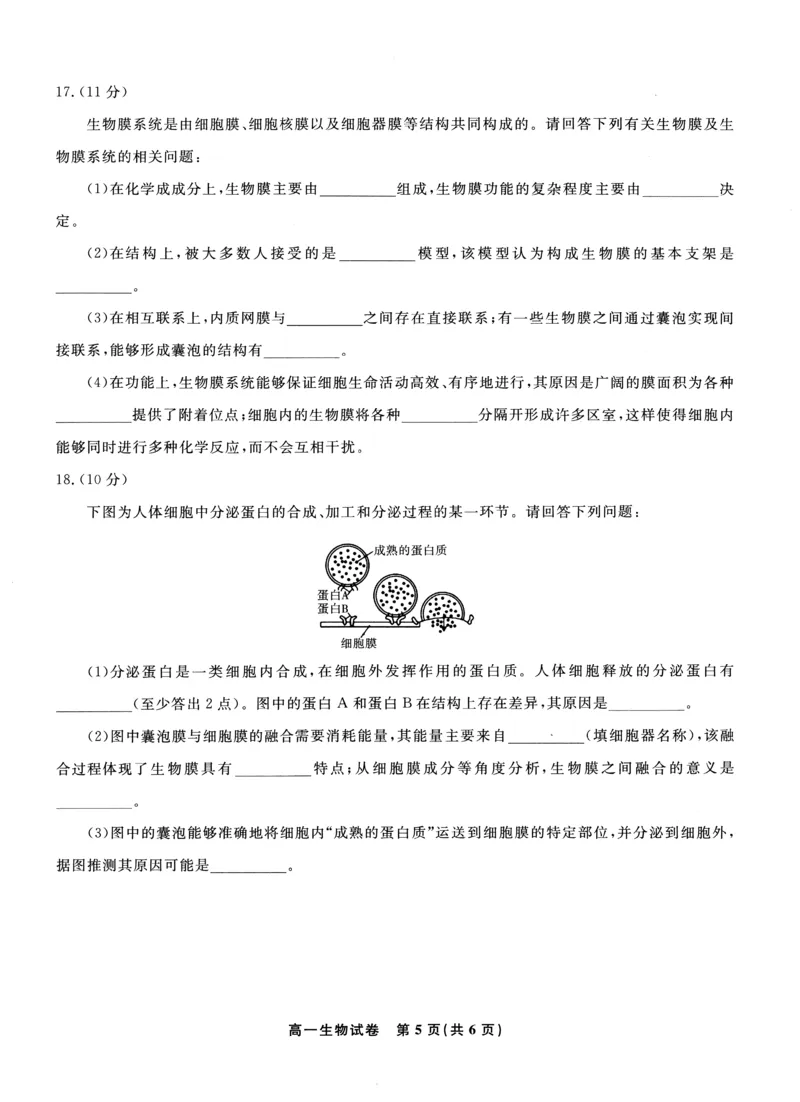 安徽省皖江名校2024-2025学年高一上学期12月联考生物试卷（图片版，无答案）_2024-2025高一（7-7月题库）_2025年01月试卷_0101安徽省皖江名校2024-2025学年高一上学期12月联考试题