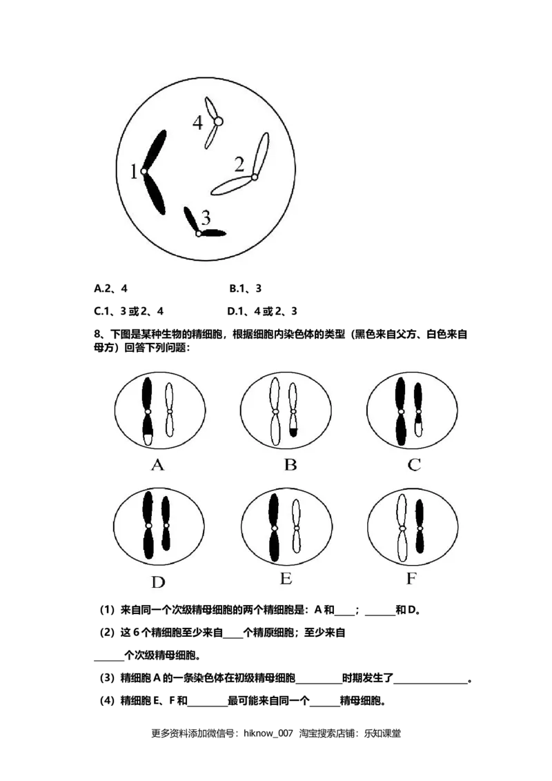 《二受精作用》课后习题_E015高中全科试卷_生物试题_必修2_1.单元测试_1、单元测试_第2章基因和染色体的关系