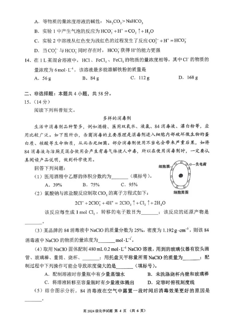 四川省川南川东北地区名校2024-2025学年高一上学期期末联考试题化学PDF版含答案_2024-2025高一（7-7月题库）_2025年01月试卷