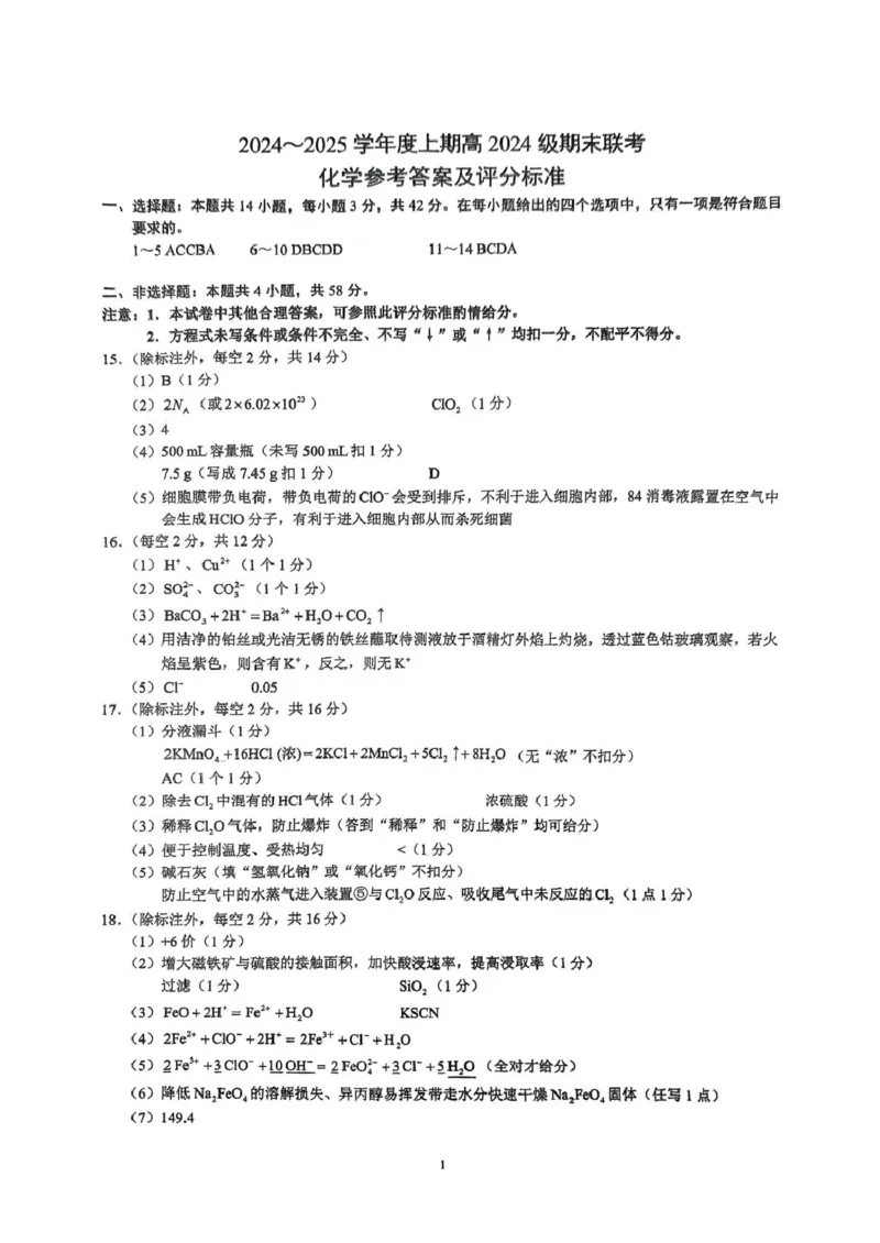 四川省川南川东北地区名校2024-2025学年高一上学期期末联考试题化学PDF版含答案_2024-2025高一（7-7月题库）_2025年01月试卷