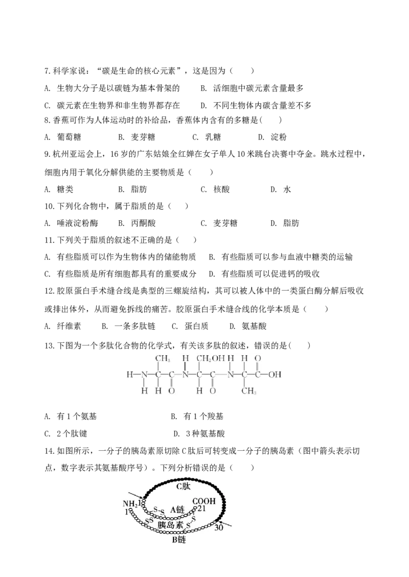 江苏省盐城市五校联考2024-2025学年高一上学期11月期中考试生物Word版含答案_2024-2025高一（7-7月题库）_2024年11月试卷_1120江苏省盐城市五校联考2024-2025学年高一上学期11月期中考试
