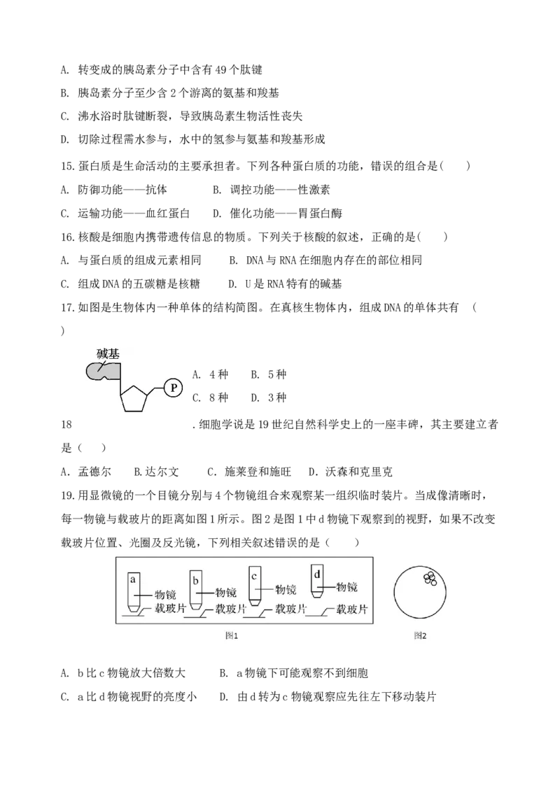 江苏省盐城市五校联考2024-2025学年高一上学期11月期中考试生物Word版含答案_2024-2025高一（7-7月题库）_2024年11月试卷_1120江苏省盐城市五校联考2024-2025学年高一上学期11月期中考试