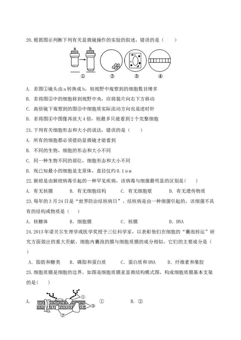 江苏省盐城市五校联考2024-2025学年高一上学期11月期中考试生物Word版含答案_2024-2025高一（7-7月题库）_2024年11月试卷_1120江苏省盐城市五校联考2024-2025学年高一上学期11月期中考试