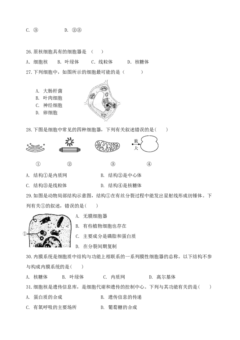 江苏省盐城市五校联考2024-2025学年高一上学期11月期中考试生物Word版含答案_2024-2025高一（7-7月题库）_2024年11月试卷_1120江苏省盐城市五校联考2024-2025学年高一上学期11月期中考试