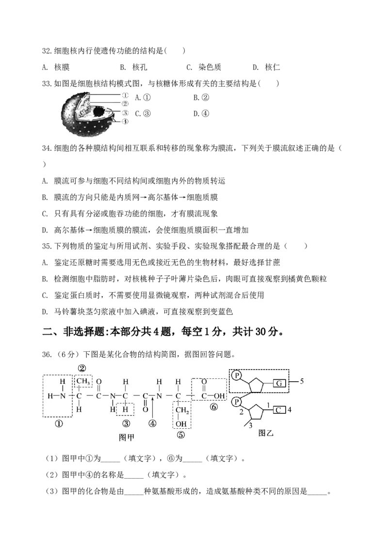 江苏省盐城市五校联考2024-2025学年高一上学期11月期中考试生物Word版含答案_2024-2025高一（7-7月题库）_2024年11月试卷_1120江苏省盐城市五校联考2024-2025学年高一上学期11月期中考试