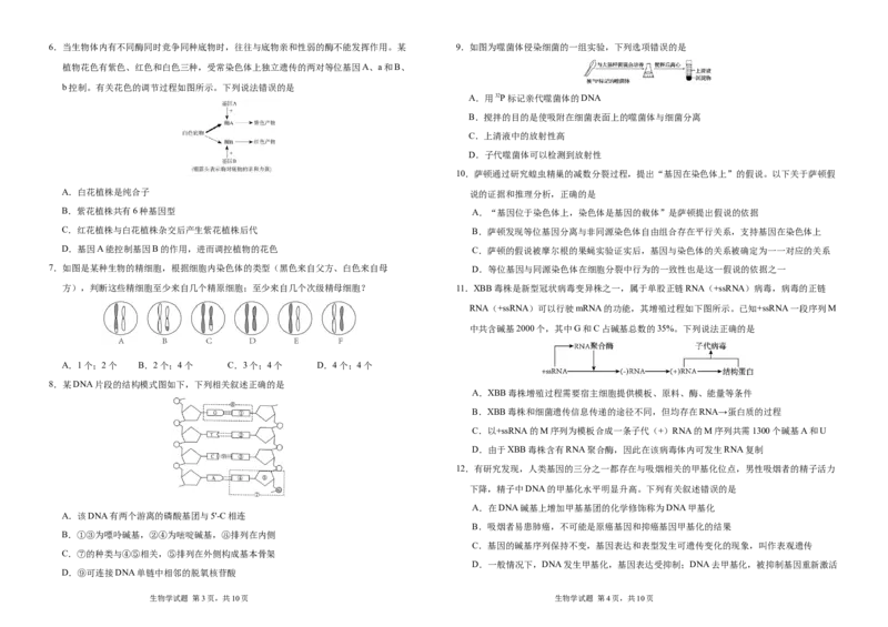 吉林省长春外国语学校2024-2025学年高一下学期期中考试生物Word版含答案_2024-2025高一（7-7月题库）_2025年6月7.10新增_0604吉林省长春外国语学校2024-2025学年高一下学期期中考试