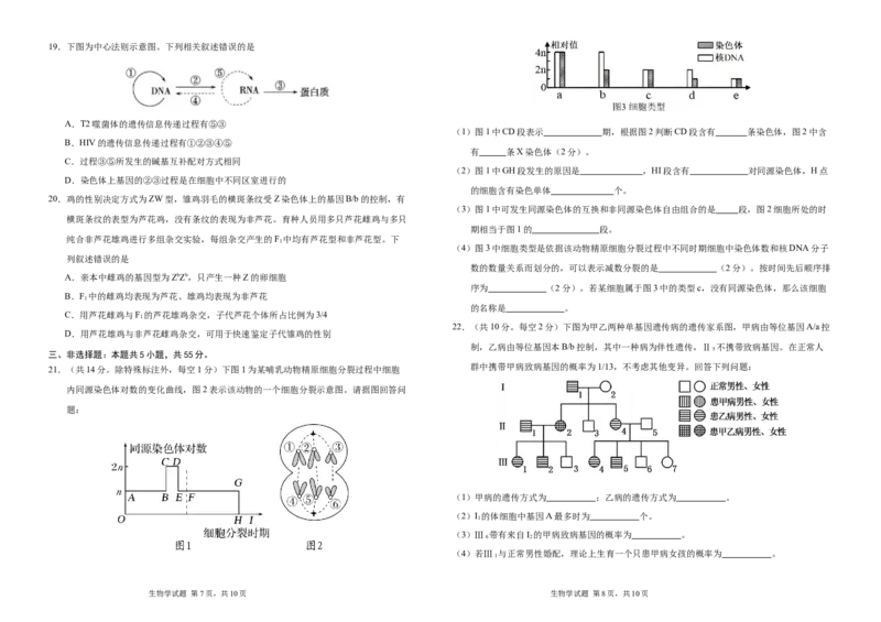 吉林省长春外国语学校2024-2025学年高一下学期期中考试生物Word版含答案_2024-2025高一（7-7月题库）_2025年6月7.10新增_0604吉林省长春外国语学校2024-2025学年高一下学期期中考试