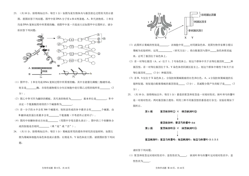 吉林省长春外国语学校2024-2025学年高一下学期期中考试生物Word版含答案_2024-2025高一（7-7月题库）_2025年6月7.10新增_0604吉林省长春外国语学校2024-2025学年高一下学期期中考试