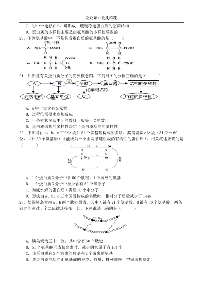 山东省济南市第一中学2024-2025学年高一上学期10月学情检测试题生物Word版含答案_2024-2025高一（7-7月题库）_2024年11月试卷_1102山东省济南市第一中学2024-2025学年高一上学期10月学情检测