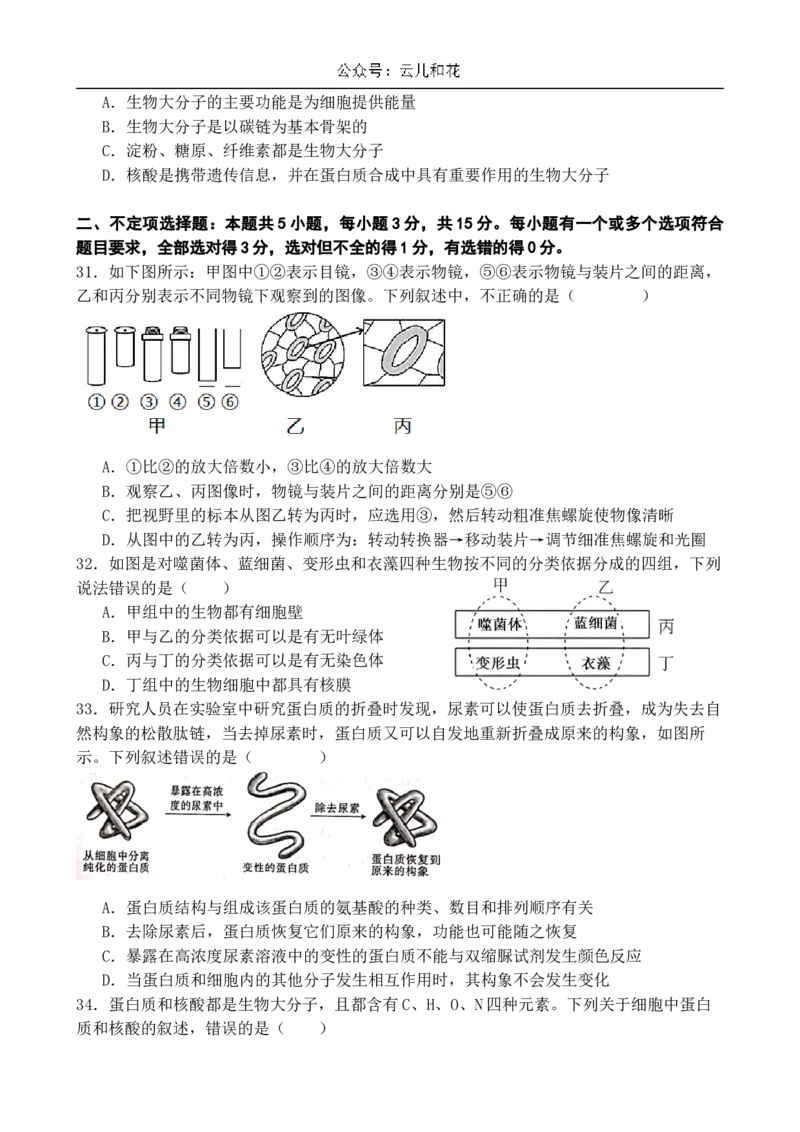 山东省济南市第一中学2024-2025学年高一上学期10月学情检测试题生物Word版含答案_2024-2025高一（7-7月题库）_2024年11月试卷_1102山东省济南市第一中学2024-2025学年高一上学期10月学情检测