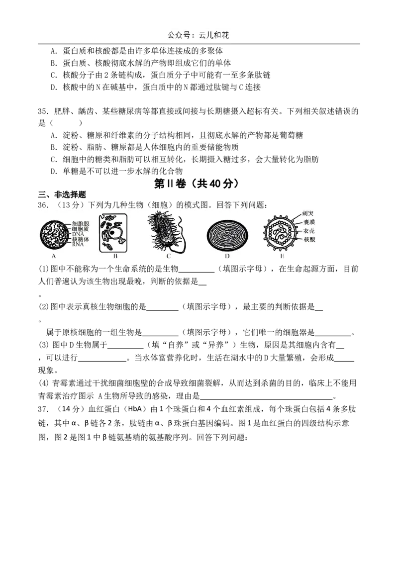 山东省济南市第一中学2024-2025学年高一上学期10月学情检测试题生物Word版含答案_2024-2025高一（7-7月题库）_2024年11月试卷_1102山东省济南市第一中学2024-2025学年高一上学期10月学情检测