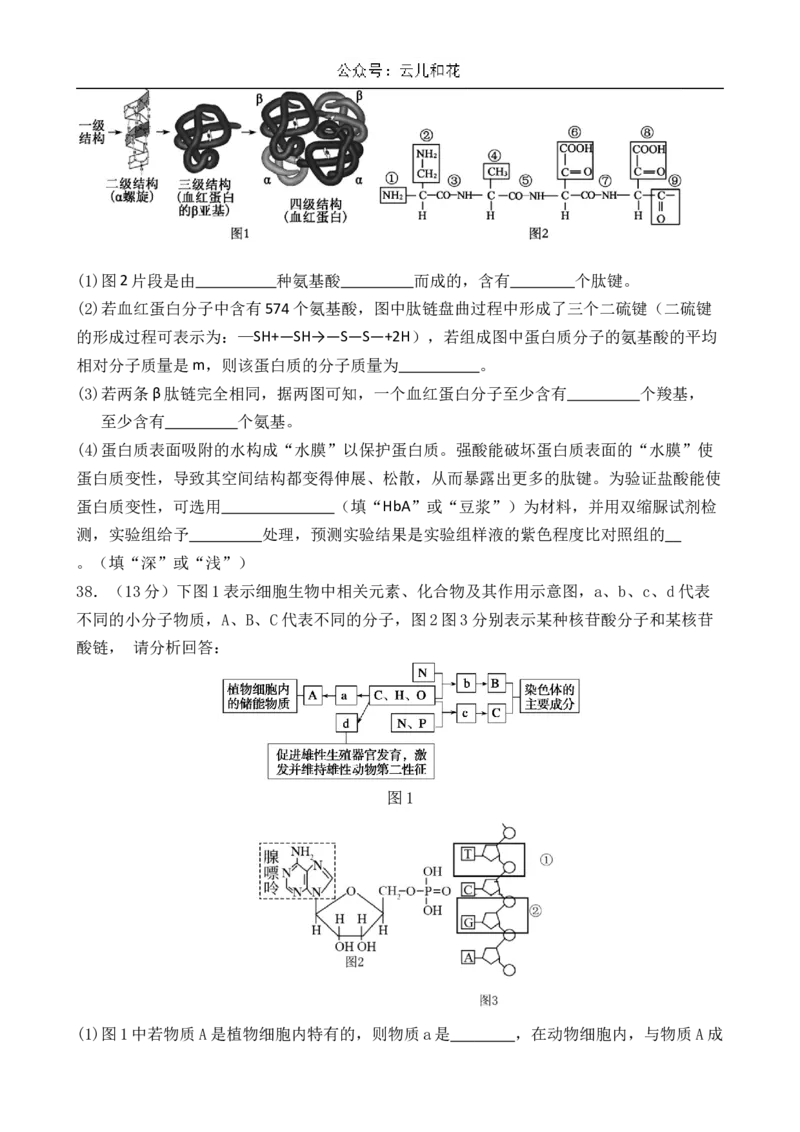山东省济南市第一中学2024-2025学年高一上学期10月学情检测试题生物Word版含答案_2024-2025高一（7-7月题库）_2024年11月试卷_1102山东省济南市第一中学2024-2025学年高一上学期10月学情检测