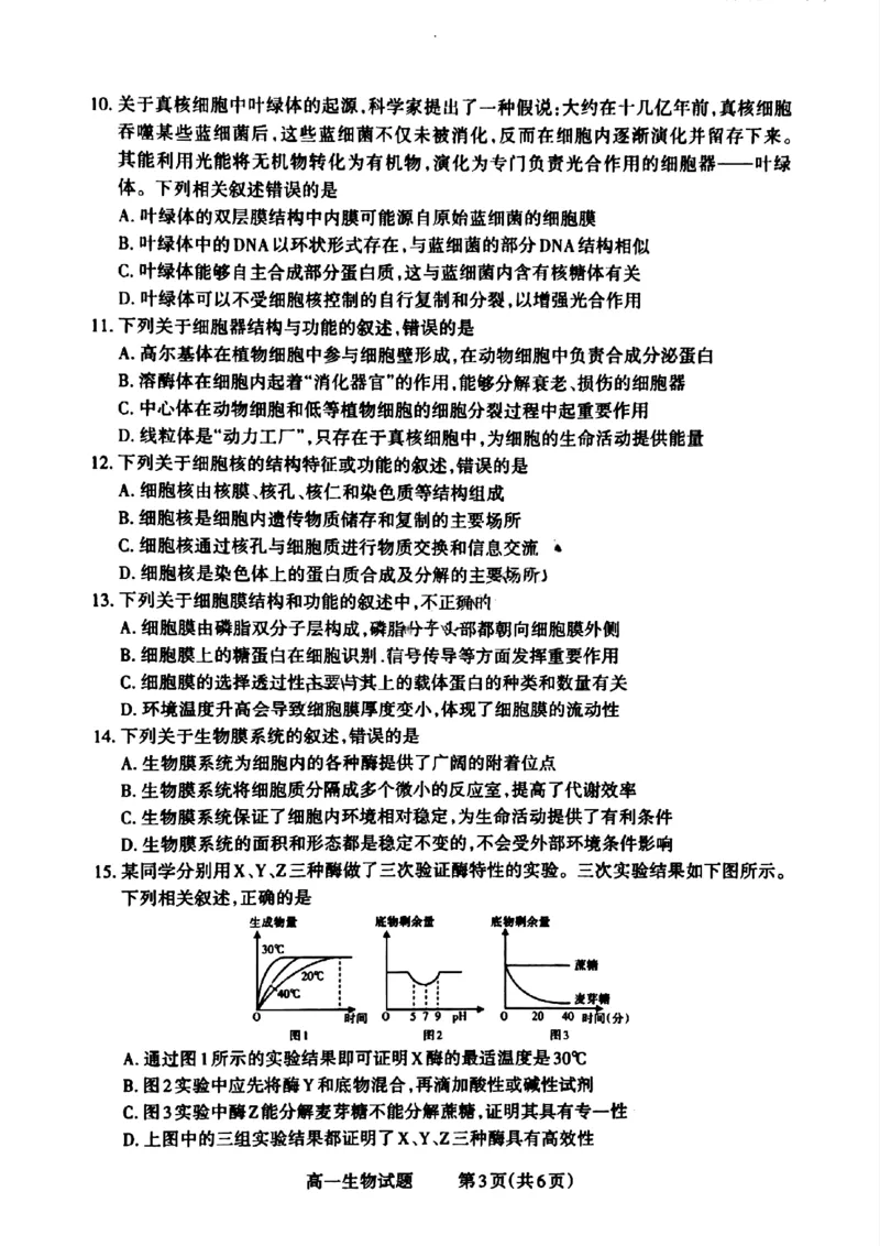 山西省晋城市2024-2025学年高一上学期12月选科调研考试生物试题含答案_2024-2025高一（7-7月题库）_2024年12月试卷_1216山西省晋城市三重教育2024-2025学年高一上学期12月选科调研考试