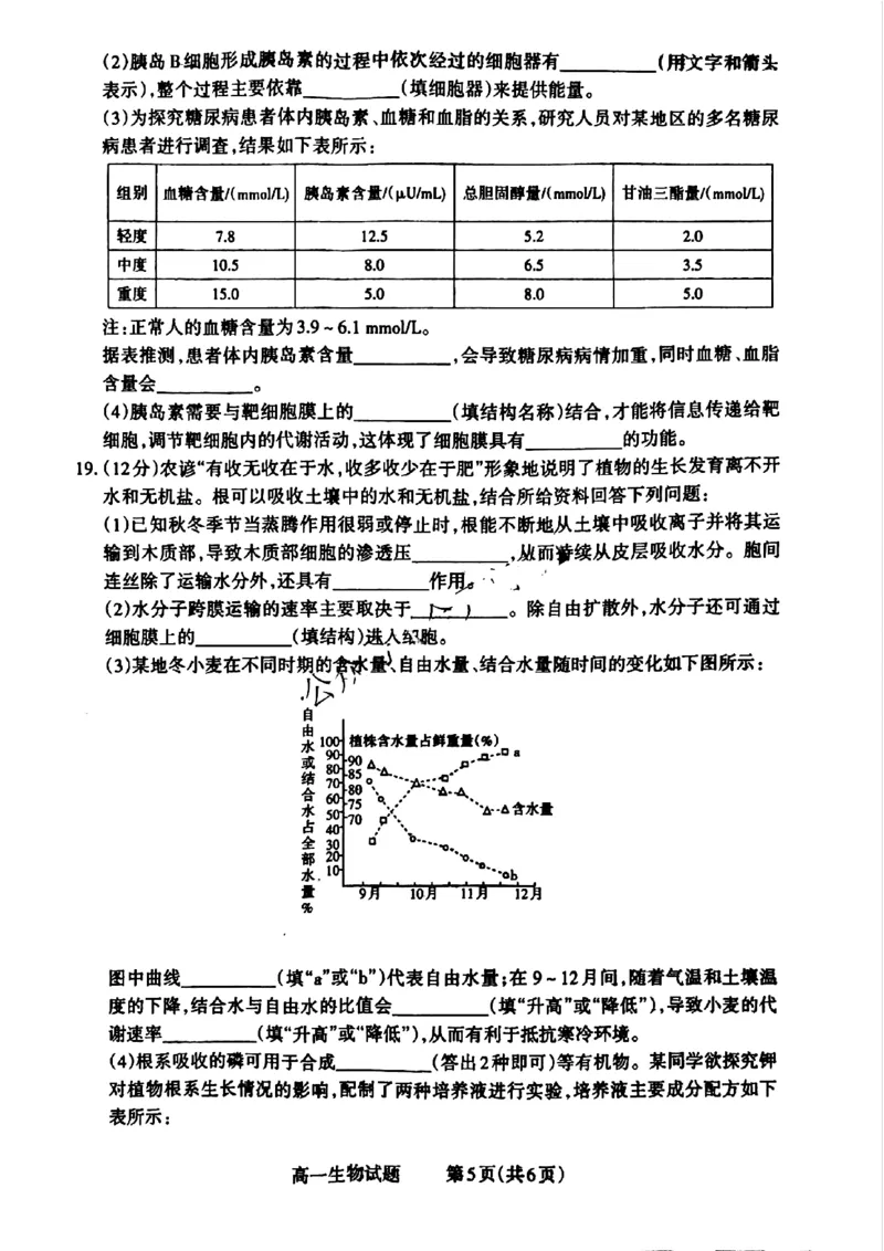 山西省晋城市2024-2025学年高一上学期12月选科调研考试生物试题含答案_2024-2025高一（7-7月题库）_2024年12月试卷_1216山西省晋城市三重教育2024-2025学年高一上学期12月选科调研考试