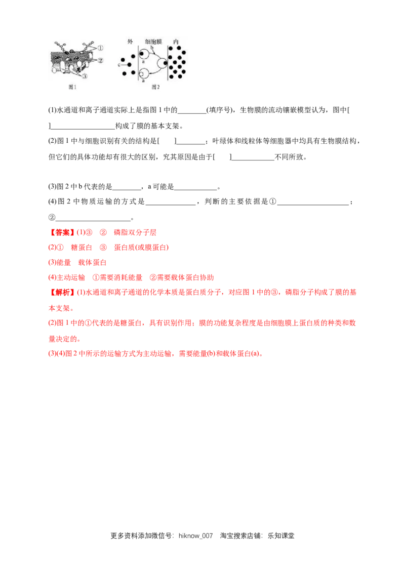 4.2主动运输与胞吞、胞吐练习（1）（解析版）_E015高中全科试卷_生物试题_必修1_2.同步练习_2.同步练习（第二套）_4.2主动运输与胞吞、胞吐练习（1）