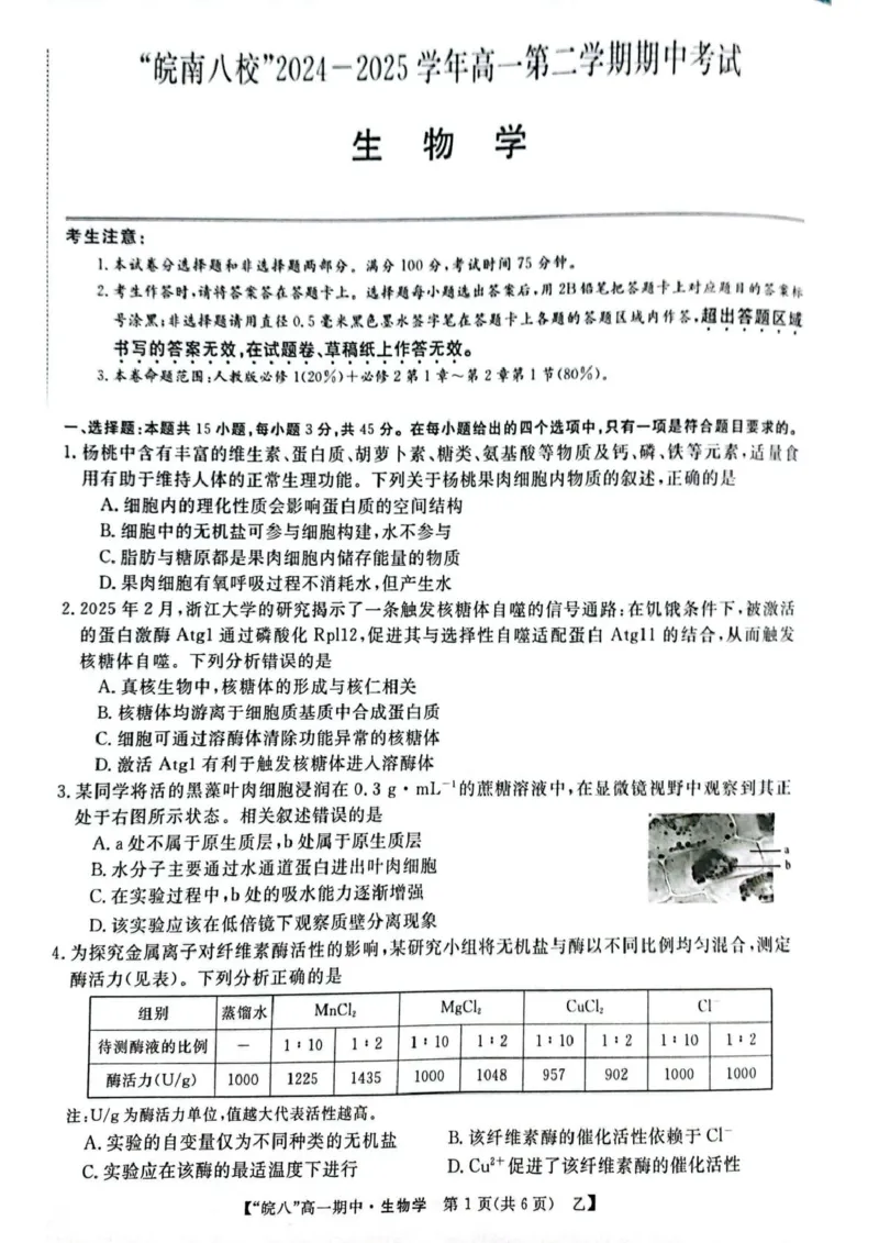 安徽省皖南八校2024-2025学年高一下学期4月期中生物（甲）试题（扫描版，含答案）_2024-2025高一（7-7月题库）_2025年04月试卷_0422安徽皖南八校&rdquo;2024-2025学年高一第二学期期中考试