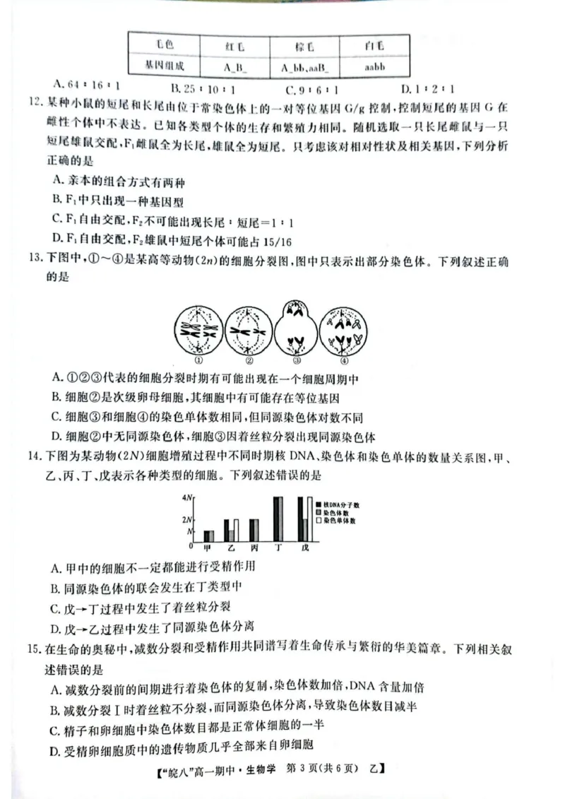 安徽省皖南八校2024-2025学年高一下学期4月期中生物（甲）试题（扫描版，含答案）_2024-2025高一（7-7月题库）_2025年04月试卷_0422安徽皖南八校&rdquo;2024-2025学年高一第二学期期中考试