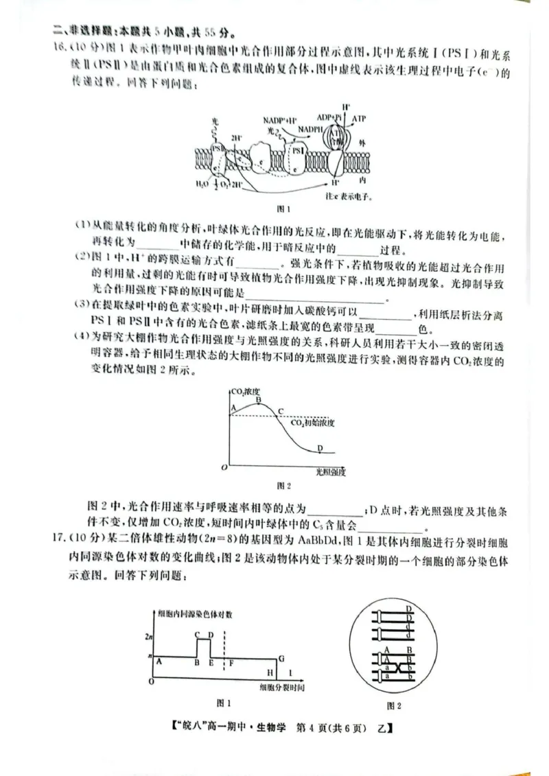 安徽省皖南八校2024-2025学年高一下学期4月期中生物（甲）试题（扫描版，含答案）_2024-2025高一（7-7月题库）_2025年04月试卷_0422安徽皖南八校&rdquo;2024-2025学年高一第二学期期中考试