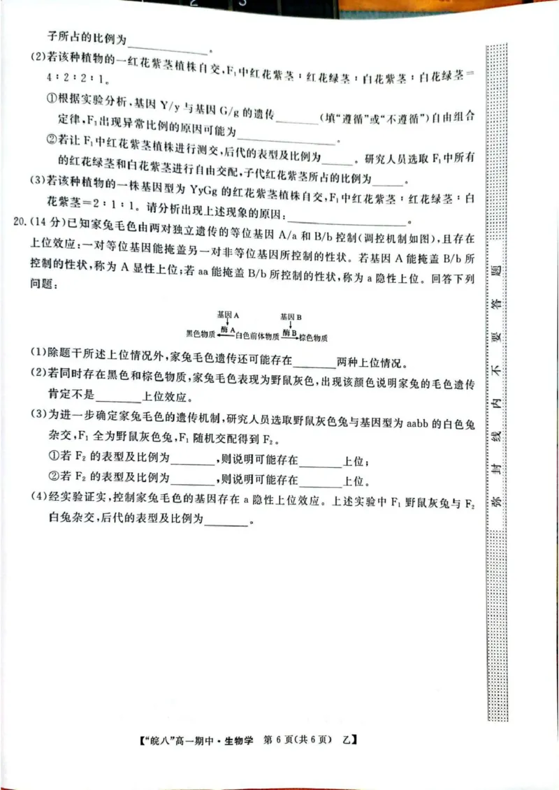安徽省皖南八校2024-2025学年高一下学期4月期中生物（甲）试题（扫描版，含答案）_2024-2025高一（7-7月题库）_2025年04月试卷_0422安徽皖南八校&rdquo;2024-2025学年高一第二学期期中考试