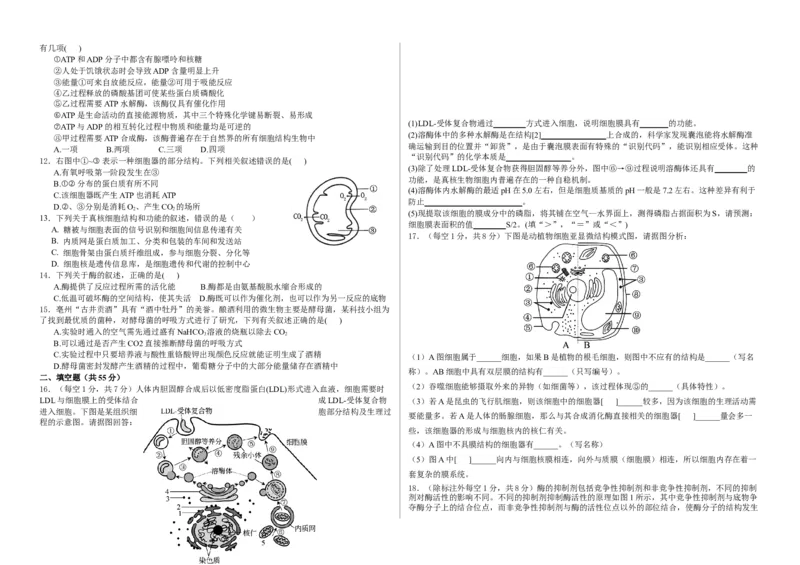 安徽省安庆市怀宁县高河中学2025-2026学年高一上学期12月月考生物试题（含答案）_2024-2025高一（7-7月题库）_2026年1月高一